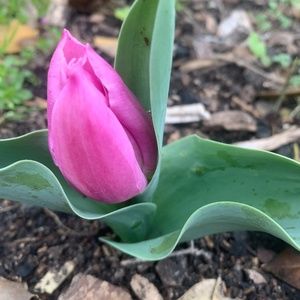 Meet your Posher, Brenda